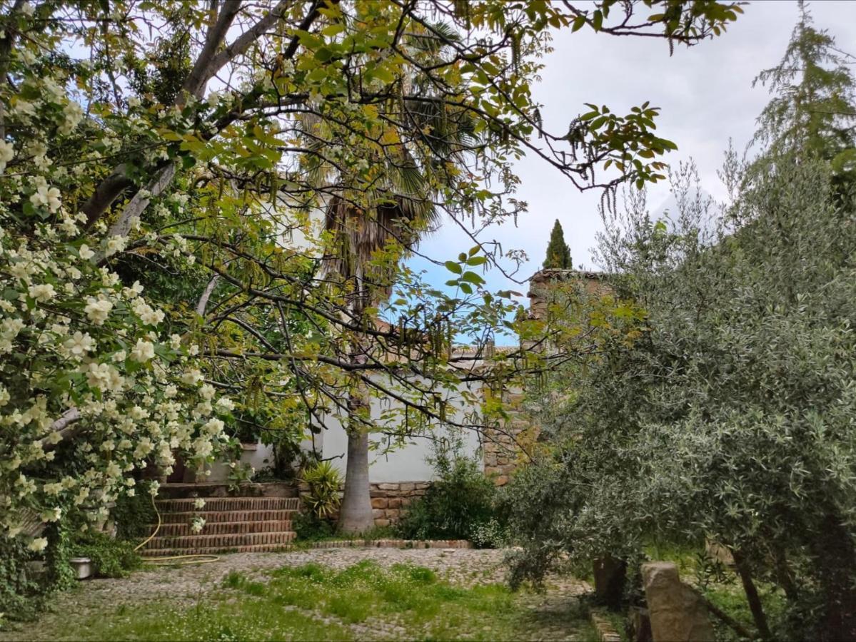 Casa Palacio El Caballero De Malta Úbeda Esterno foto